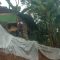 Dua rumah di Kampung Pajagan, Desa Cihamerang, Kecamatan Kabandungan, Kabupaten Sukabumi, Jabar terancam setelah bagian pondasinya tergerus longsor pada Rabu, (10/1/2024). (Aditya Rohman)