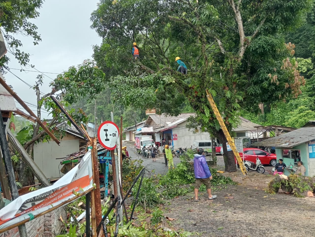 Bencana pohon tumbang di wilayah Kecamatan Cikakak merusak dua rumah dan memutus aliran listrik serta lalu lintas, Jumat (19/01/2024).