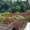 DIHANTAM LONGSOR : Kondisi rumah warga yang tertimbun tanah longsor di Kampung Cibatu Hilir, RT 01/RW 11, Desa Sekarwang, Kecamatan Cibadak, Kabupaten Sukabumi, pada Rabu (24/01) pagi.(foto : ist)