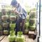 penjual gas 3 kilogram