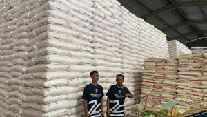 Stok Pupuk di Gudang Lini III Cibadak Hanya Mencukupi 2 Bulan Kedepan