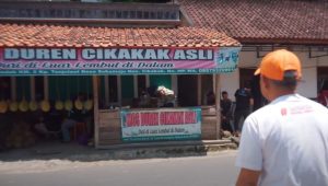 Rasakan Kenikmatan Durian Coklat dan Susu di Kios Durian Cikakak Sukabumi