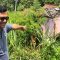 retakan tanah nyalindung
