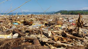 Penampakan Sampah Kembali Hiasi Pantai Citepus Muara Palabuhanratu Sukabumi