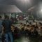 DIAMANKAN : Saat puluhan remaja Sukabumi Team diamankan personel polsek Cicurug Polres Sukabumi. (FOTO : ist)