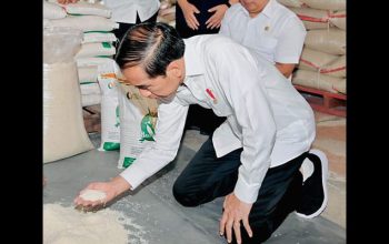 Presiden Joko Widodo/Net