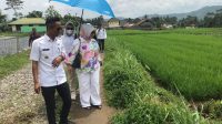 MENINJAU : Anggota DPRD Provinsi Jawa Barat yang juga sebagai kader Gerindra Lina Ruslinawati pada saat meninjau langsung lahan pertanian milik Desa Sasagaran yang dikaryakan jadi ladang pertanian masyarakat. 