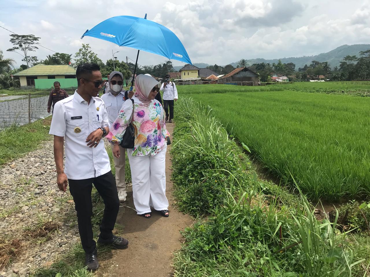 MENINJAU : Anggota DPRD Provinsi Jawa Barat yang juga sebagai kader Gerindra Lina Ruslinawati pada saat meninjau langsung lahan pertanian milik Desa Sasagaran yang dikaryakan jadi ladang pertanian masyarakat. 