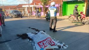 Terlibat Laka Lantas, Warga Gedongpanjang Tewas