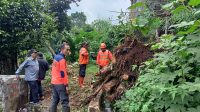 EVAKUASI: Sejumlah petugas BPBD Kota Sukabumi saat melakukan evakuasi bencana di RT3/RW6 Belpas Syamsul Ulum, Kelurahan Gunungpuyuh, Kecamatan Gunungpuyuh, Selasa (26/3).