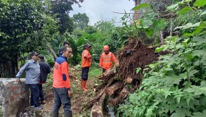 EVAKUASI: Sejumlah petugas BPBD Kota Sukabumi saat melakukan evakuasi bencana di RT3/RW6 Belpas Syamsul Ulum, Kelurahan Gunungpuyuh, Kecamatan Gunungpuyuh, Selasa (26/3).