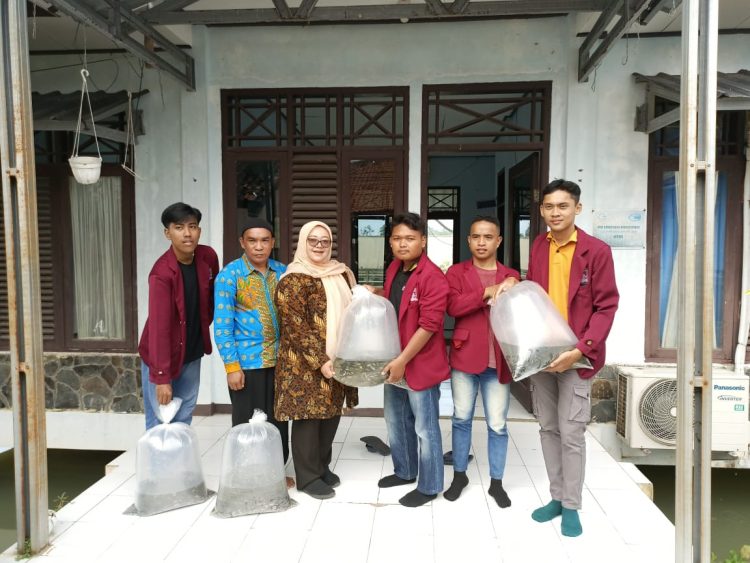 PEDULI: Salah satu mahasiswa KKN Universitas Nusa Putra menyerahkan bibit ikan konsumsi kepada salah satu warga di Desa Pasirbaru, Kecamatan Cisolok, Kabupaten Sukabumi, Kamis (29/2/2024).(dok/radarsukabumi)