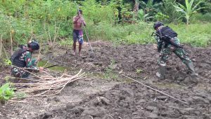 Satgas Yonif 310 Sukabumi Bantu Warga Tanam Singkong di Papua