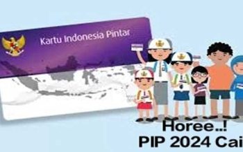 PIP 2024