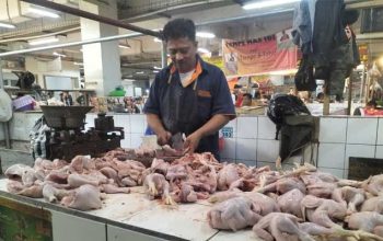 Pedagang Ayam Kota Sukabumi