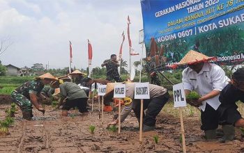 Lahan Pertanian Kota Sukabumi