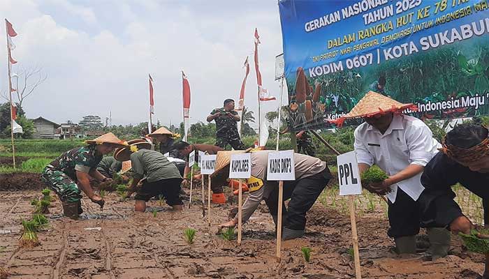 Lahan Pertanian Kota Sukabumi