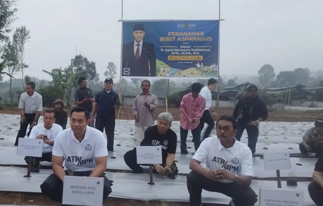 Menteri ATR/BPN Agus Harimurti Yudhoyono kerap disapa AHY (kiri) menanam Asparagus di tanah hasil reforma agraria di Cianjur, Jawa Barat, Minggu (21/4/2024). (Muzdaffar Fauzan)