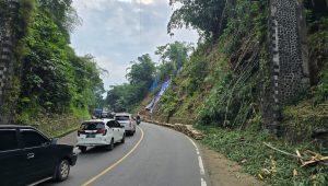 Penampakan Tebing Palagan Jalan Sukabumi – Bogor yang Rawan Longsor, Harus Hati-hati