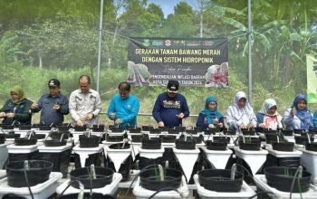 DKP3 Kota Sukabumi