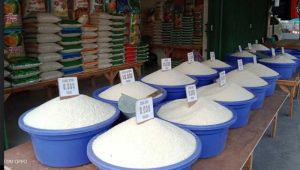 Pengaruh Kenaikan Harga Beras di Daerah Sukabumi