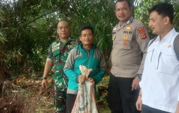 DIAMANKAN : Babinsa dan Bhabinkamtibmas saat mengamankan senjata laras panjang yang ditemukan dalam tanah di Kampung Cimahi, RT 02/RW 01, Desa Selajambe, Kecamatan Cisaat, Kabupaten Sukabumi.(Foto : ist)