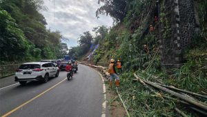 Tebing Palagan di Jalan Sukabumi – Bogor Rawan Longsor