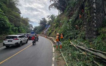 Longsor Palagan Sukabumi