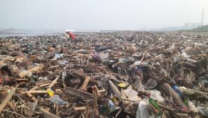 Pantai Talanca Loji Sukabumi Kembali Dihiasi Sampah, Sempat Kinclong