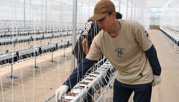 Smart Green House Polbangtan Kementan