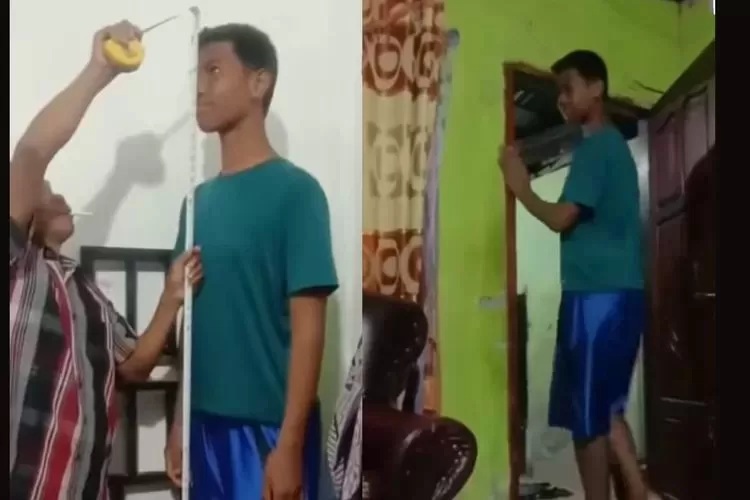 Sagil Muhammad Rizki usia 12 tahun atau kelas 6 SD di Jambi memiliki tinggi 2 meter. (ist)