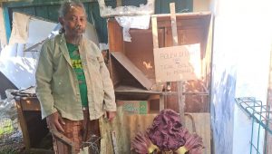 Penampakan Bunga Bangkai Mekar di Tengah Pemukiman Padat Penduduk Kota Bogor