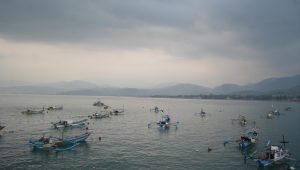 Nelayan Sukabumi Diizinkan Tangkap Benur lobster di Laut, Ini Syaratnya