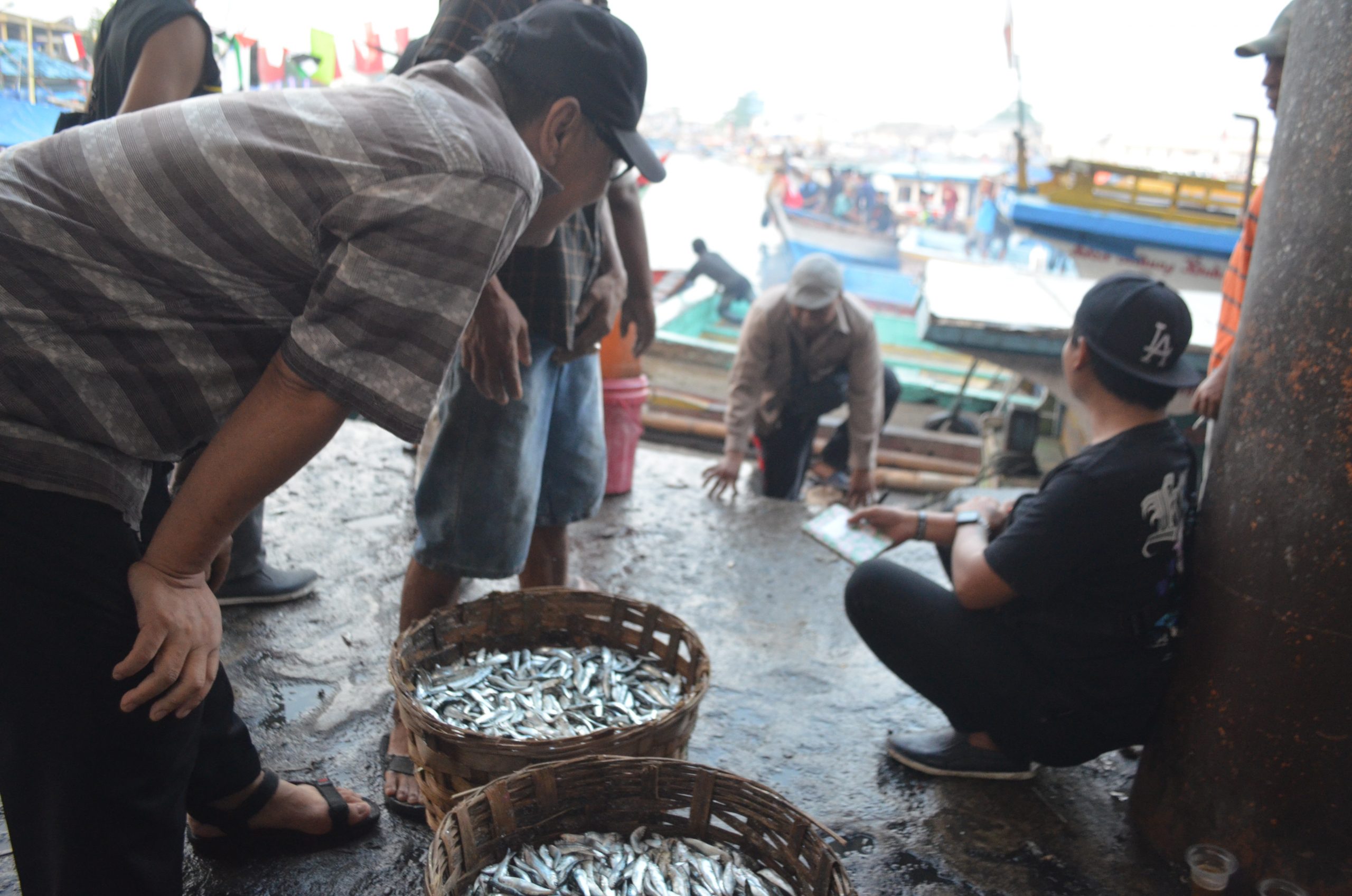 MENAWAR: Warga mencoba menawar ikan Tembang hasil tangkapan nelayan Palabuhanratu.