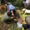 DITANGKAP : Tim pemburu saat menangkap babi hutan di Kampung Sundawenang, RT 25/RW 11, Desa Sundawenang, Kecamatan Parungkuda, Kabupaten Sukabumi, pada Selasa (24/06).(FOTO : UNTUK RADAR SUKABUMI)