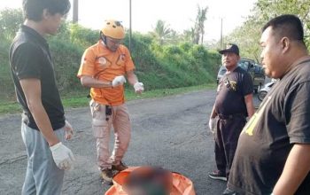 Laka Ciracap Sukabumi
