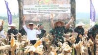 Panen Jagung dan Singkong Bersama KSAD, Mentan Amran Puji Gerakan Tanam TNI