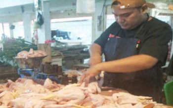 Pedagang Daging Ayam Kota Sukabumi