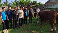 STIKes Sukabumi Serahkan Hewan Kurban Seberat 500 Kg Untuk Warga Sekitar