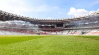 Jelang Timnas Indonesia Vs Irak Rumput SUGBK Belum Sempurna