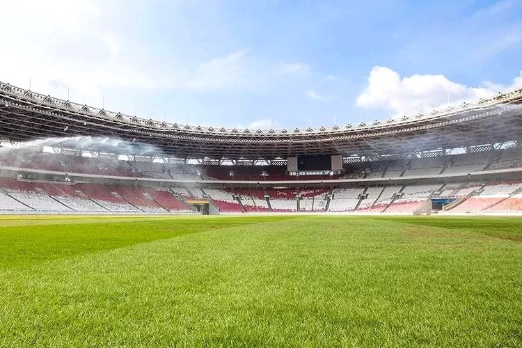 Kondisi Terkini Rumput Stadion Gelora Bung Karno (bolasport.com)