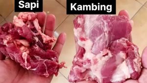 5 Cara Membedakan Antara Daging Sapi dan Kambing 