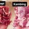 Perbedaan antara Daging Sapi dan Kambing (Sumber: YouTube@Aulzuhraa)