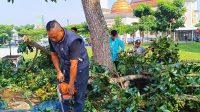 DPUTR Kota Sukabumi Pangkas 82 Pohon Rawan Tumbang