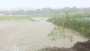 BPBD: Bencana Hidrometeorologi Kabupaten Sukabumi Terjadi di Enam Kecamatan