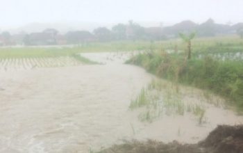 Bencana banjir yang melanda Desa Tamanjaya, Kecamatan Ciemas, Kabupaten Sukabumi, Jabar akibat saluran irigasi jebol akibat meningkatnya volume air yang diipicu hujan deras.