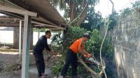 BPBD Kota Sukabumi Galakan Mitigasi Pohon