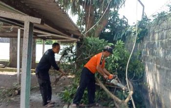 BPBD Kota Sukabumi Galakan Mitigasi Pohon