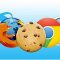 Cookies Pencuri Data