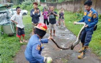 Damkar Sukaraja Sukabumi